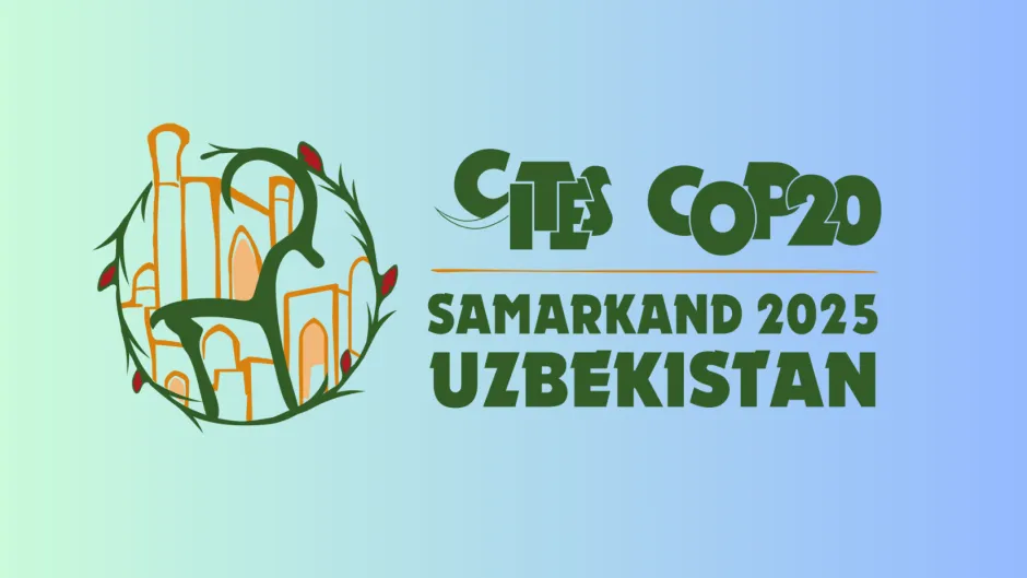 Logo der CITES COP 20 Samrakand, 2025